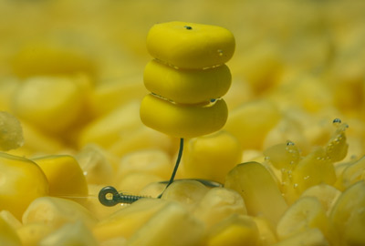 Mais Doux Triple ROK Corn Equilibre Natural Yellow T.M (par 15) – Image 2