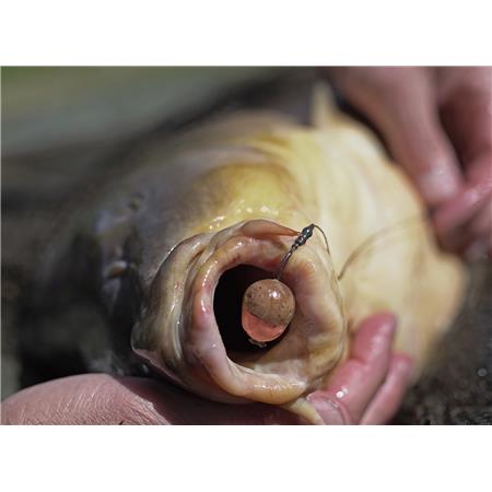 Protection À Appats Pole Position Bait Wrap – Image 2